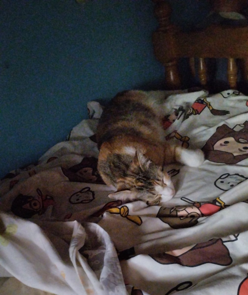 Quiero ser mi gata.
Duerme todo lo que quiere. 
Sale a la calle unas horas para estar tumbada en la puerta.
Come comida rica.
Juega con el perro.
No tiene celo.
Vive como una reina gracias a mis cuidados.