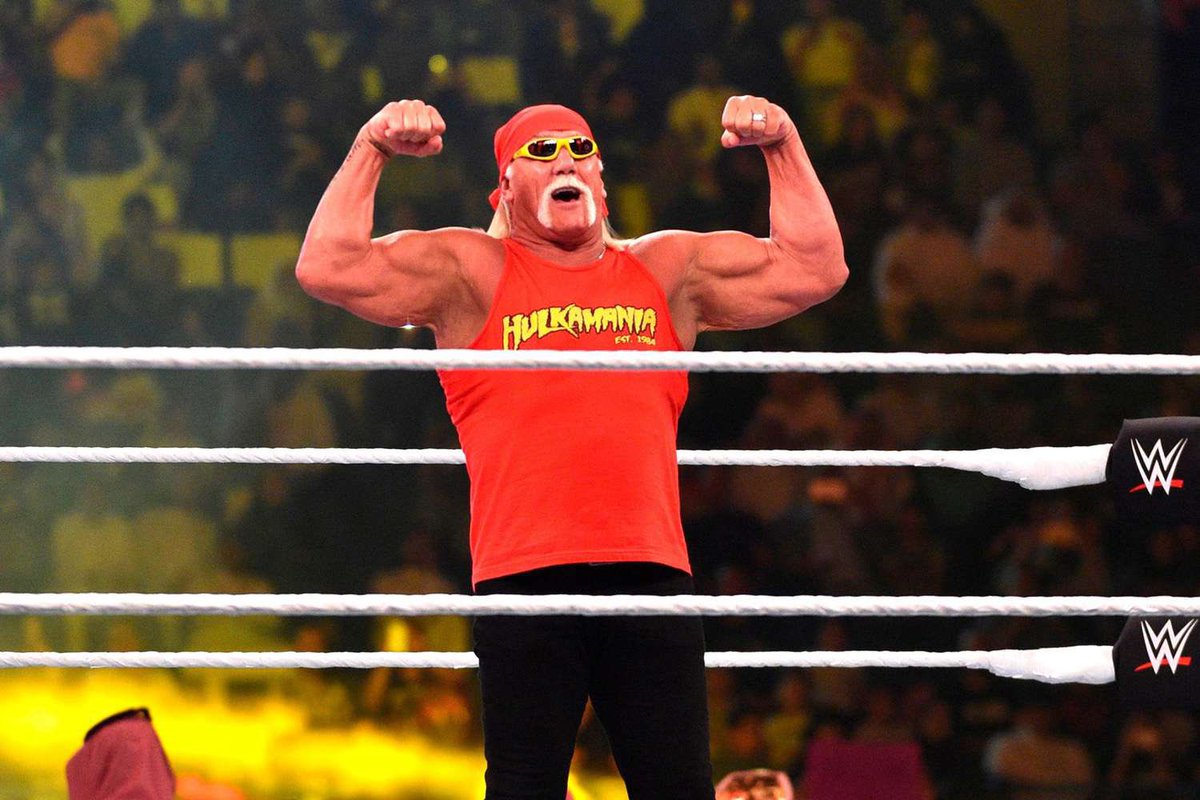 Rest In Peace Hulk Hogan 

1953-2025
