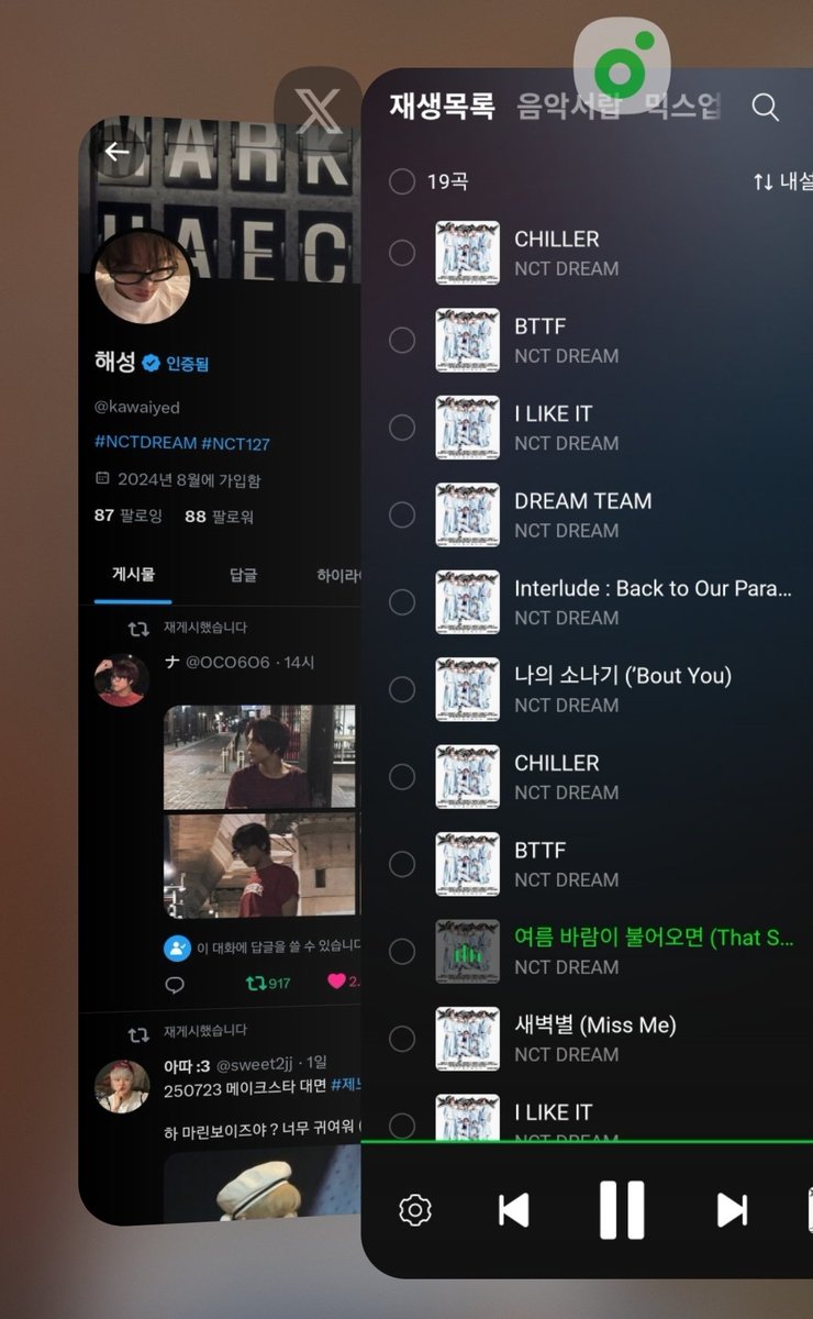 스밍 안 할 거면 콘서트 오지 마