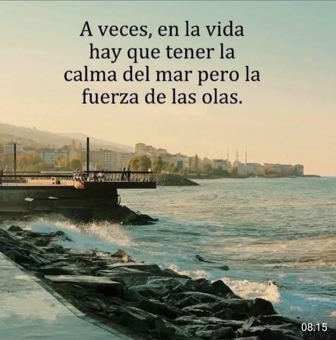 JosDeJessR15510's tweet image. Buen día