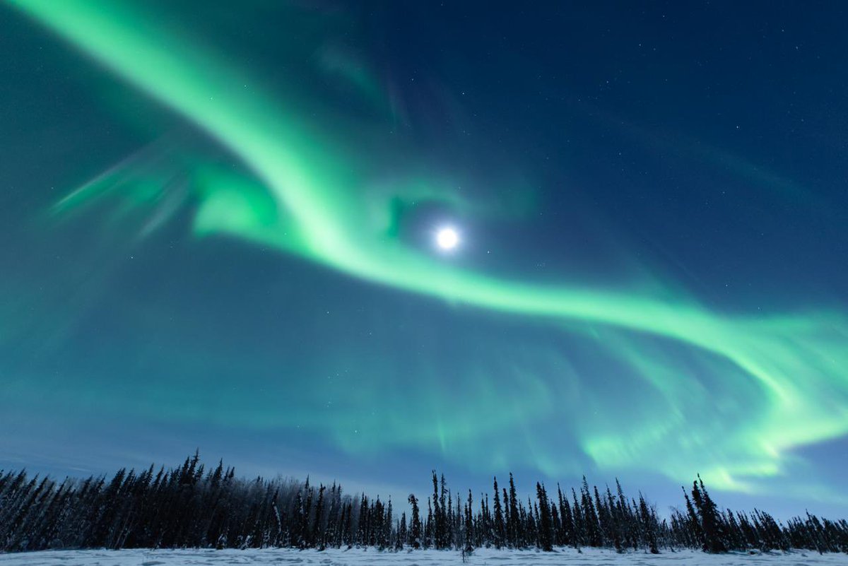 Gm - it’s almost aurora season ✌️