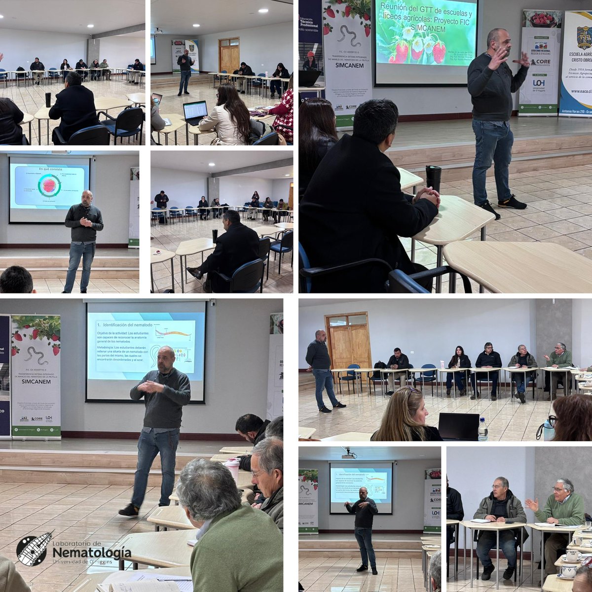 Laboratorio de Nematología UOH (@nematologia_uoh) on Twitter photo Reunión del GTT de Escuelas y Liceos Agrícolas 📚🌱 En el marco del Proyecto FIC SIMCANEM — Sistema Integrado de Manejo del Nematodo de la Frutilla 🍓
Conversatorio liderado por el Dr. <a href="/esanblas/">Ernesto San Blas</a> junto a los Ing. Nicolás Miranda y Adolfo Machuca.
#Agriculture #Nematodes #UOH Reunión del GTT de Escuelas y Liceos Agrícolas 📚🌱 En el marco del Proyecto FIC SIMCANEM — Sistema Integrado de Manejo del Nematodo de la Frutilla 🍓
Conversatorio liderado por el Dr. <a href="/esanblas/">Ernesto San Blas</a> junto a los Ing. Nicolás Miranda y Adolfo Machuca.
#Agriculture #Nematodes #UOH
