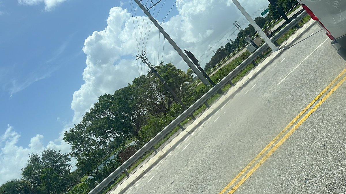 Crocky_on_Ape's tweet image. Good morning From the swamps of Miami.