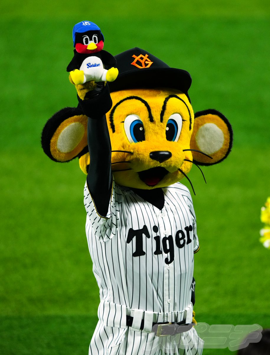 Sponichi_Photo's tweet image. #マイナビオールスター2025
ラッキーセブンの７回、セ・リーグ各球団の応援歌が流れ終わる最後に、つば九郎人形を掲げる #トラッキー 
（撮影・木村　揚輔）