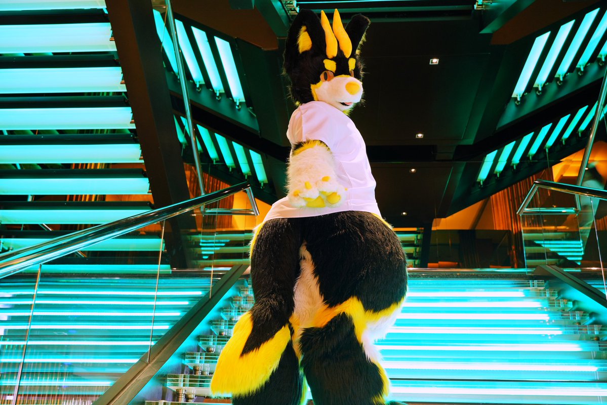📷:<a href="/Palenque1027/">帕連克Palenque</a> 

#FursuitFriday
#UTFG2025