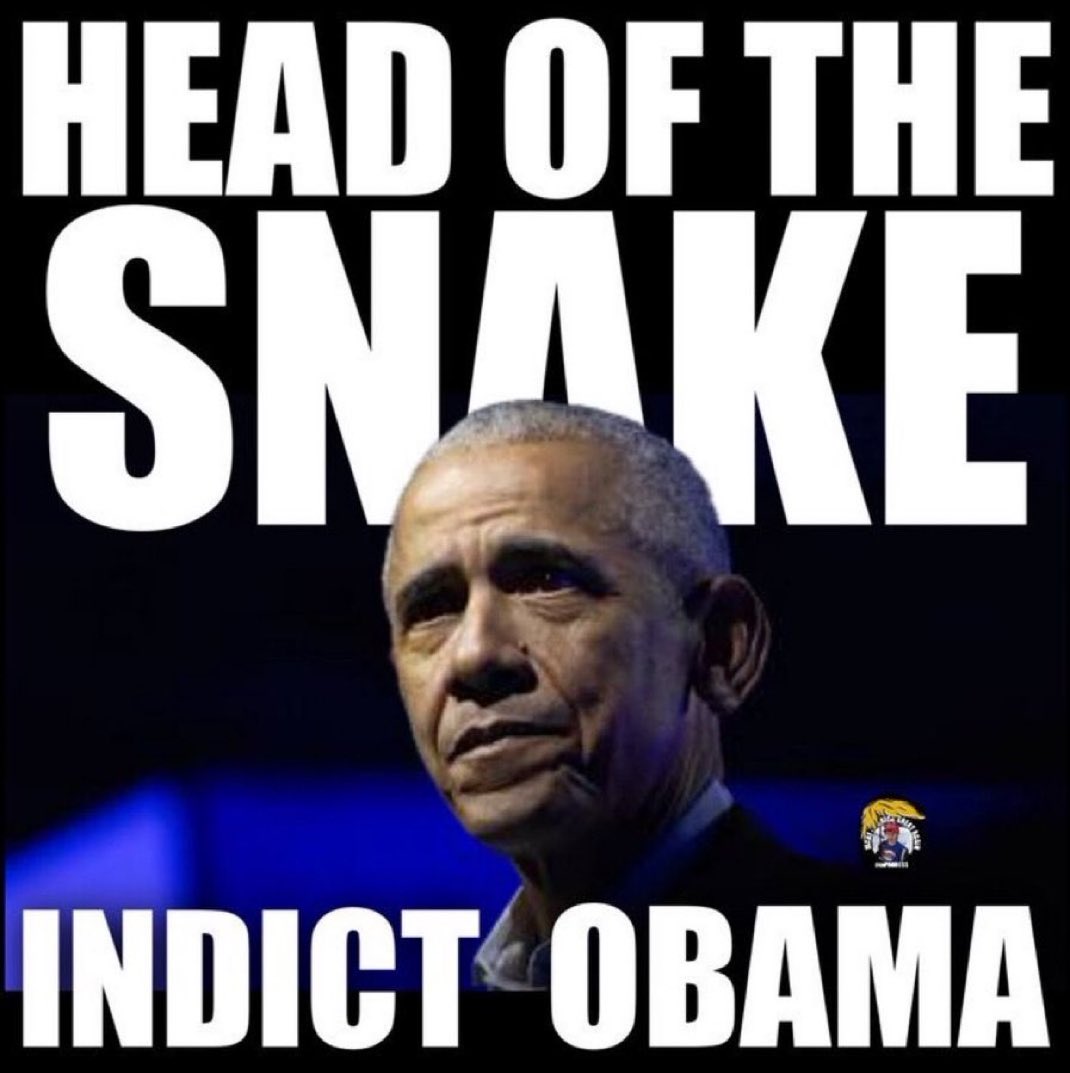 KLeavittNews's tweet image. What is the best way to kill a snake? Do you know? Let me know in the comments...