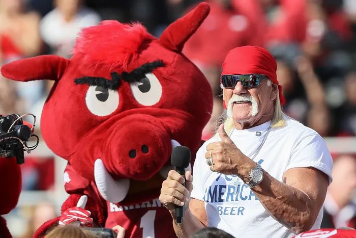no context arkansas🐗 tweet media