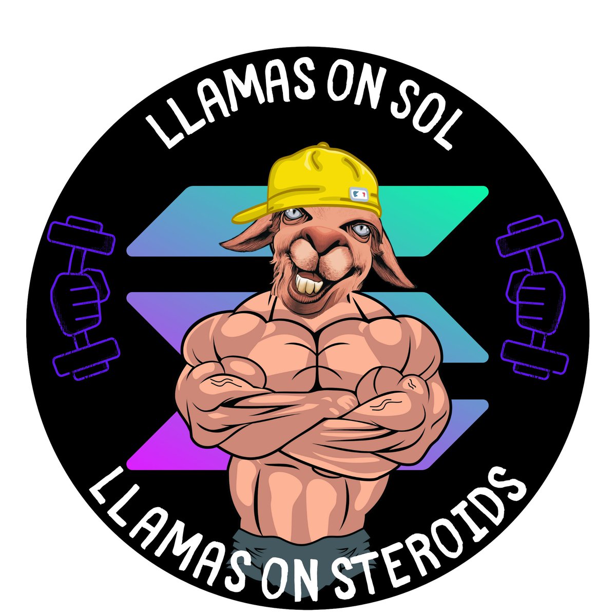 We didn’t just migrate to Solana. We mutated. 
From cute JPEGs to anabolic Llamas on steroids. ⚡️Faster 
💪Stronger. 
🦙Wilder. 
The politically incorrect takeover has begun.
Expect the unexpected🤯
