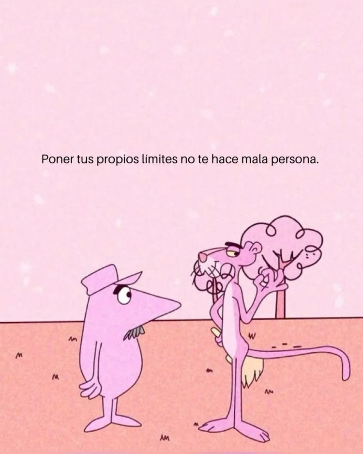 Namasté Paz (@namaste_paz) on Twitter photo 