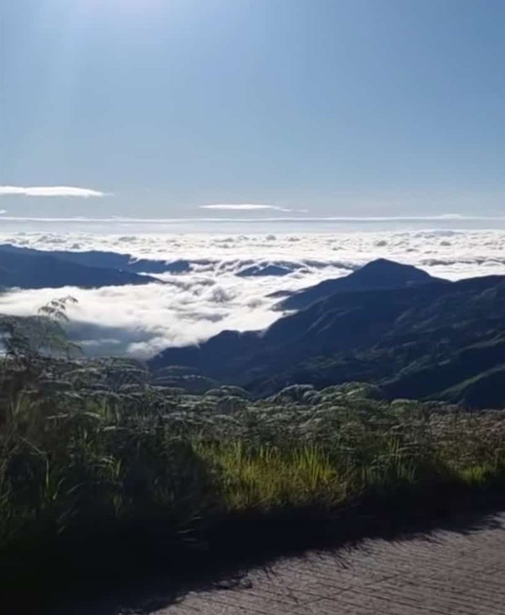 Que la vida te lleve a esos lugares donde encuentres la felicidad 🍀
Feliz jueves ❤️