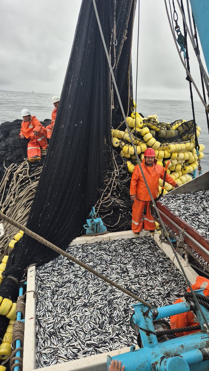 Carlosho05's tweet photo. Fin de temporada 
Y así terminamos la  primera temporada de pesca Zona norte-centro 2025
Con dias buenos y dias malos pero siempre agradecido por todo Señor 
#Anchoveta
#Pesca https://t.co/GpbdD5GW93