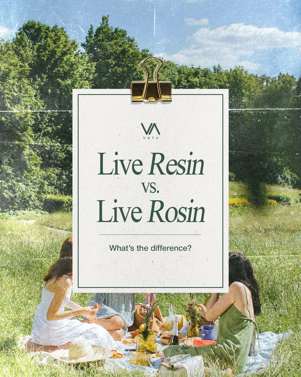 vayucbd's tweet image. Confused between resin and rosin? We break it down so you get the right kind of high.
→ Read more: buff.ly/64ngcd1

#LiveResin #LiveRosin #VAYUEducation