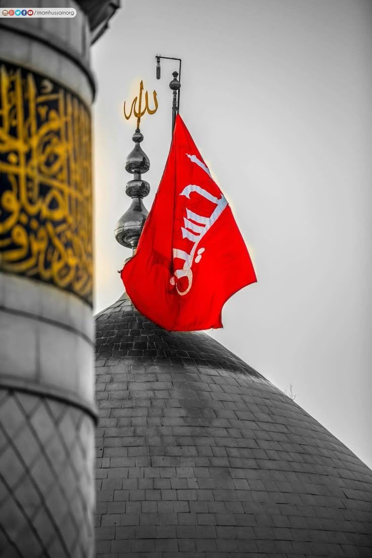 hamiidsadegh's tweet image. چطور ناشکری کنیم خدایی را که برای ما «حسین» آفریده است؟
#شب_زیارتی