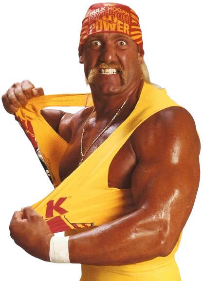 DavidYukioAmano's tweet image. #catch
La légende Hulk Hogan est décédé à 71 ans !
Ce soir, je picole et je me mets minable pour oublier ça...