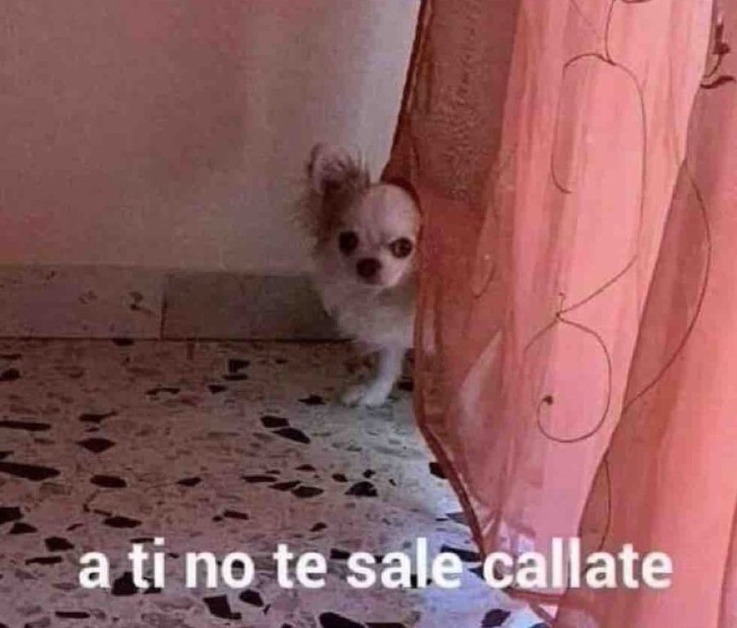 El Guarromántico tweet media