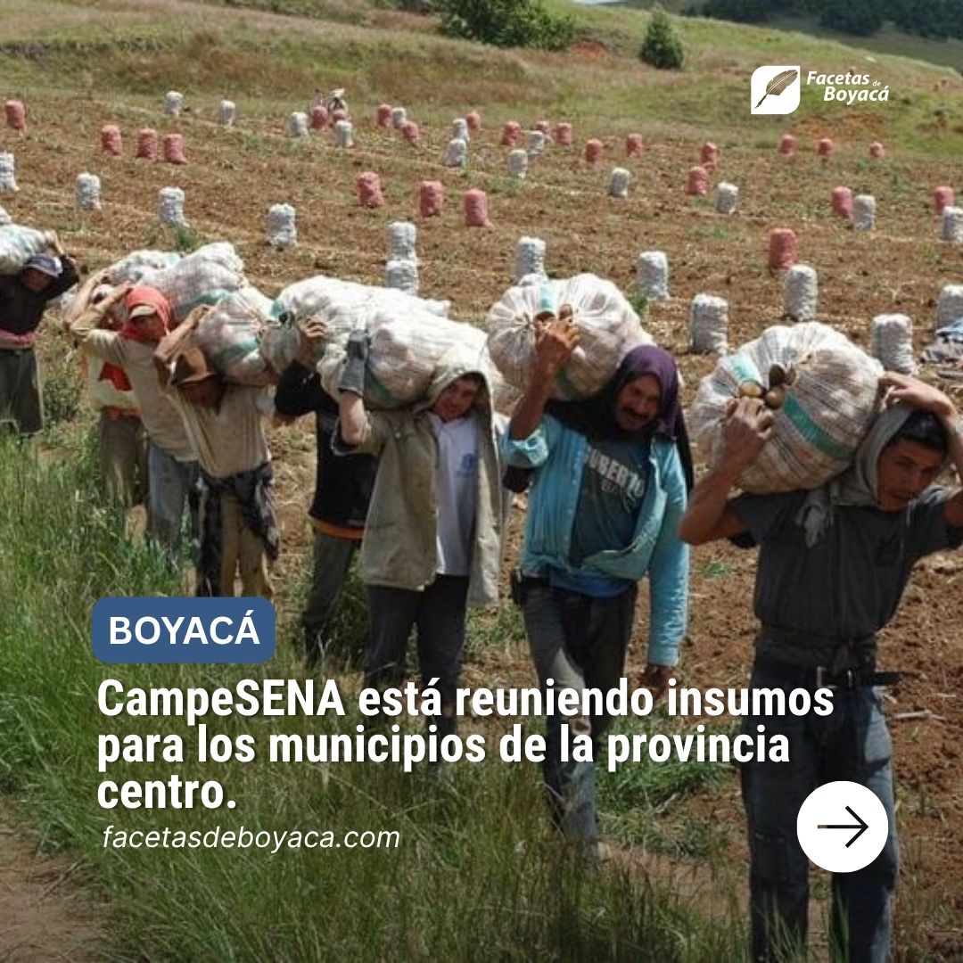 facetasdeboyaca's tweet image. El sector rural de la provincia Centro se pronunció a través de sus líderes campesinos en el noveno Diálogo Territorial y Comunitario CampeSENA Full Popular.
@SENABoyaca
Conoce todos los detalles aquí 👇
facetasdeboyaca.com/campesena-esta…