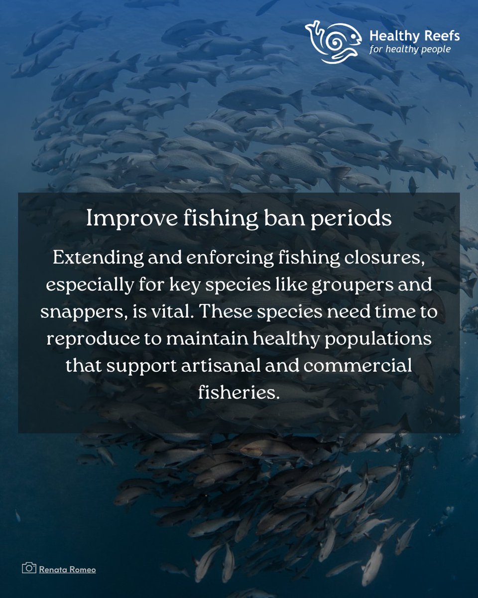 HealthyReefs's tweet photo. From ridge to #reef, it’s all connected. #Sustainablefishing, #cleanwater, and good governance are key to protecting the #MesoamericanReef. 🌊🇬🇹 #RidgeToReef https://t.co/37kapUB1uP