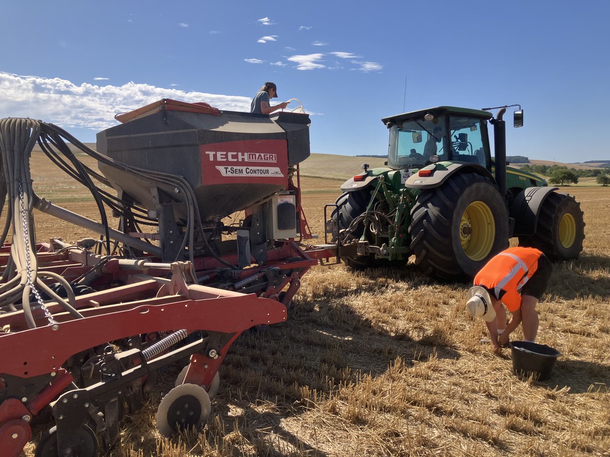 #JeudiAgronomie À peine la moisson terminée, c’est reparti pour une nouvelle campagne avec le semis des #couvertsvégétaux🌱🚜
Cette plateforme implantée à Villemaur-sur-Vanne (10) va permettre l'évaluation variétale et d'étudier les leviers pour réussir les couverts.