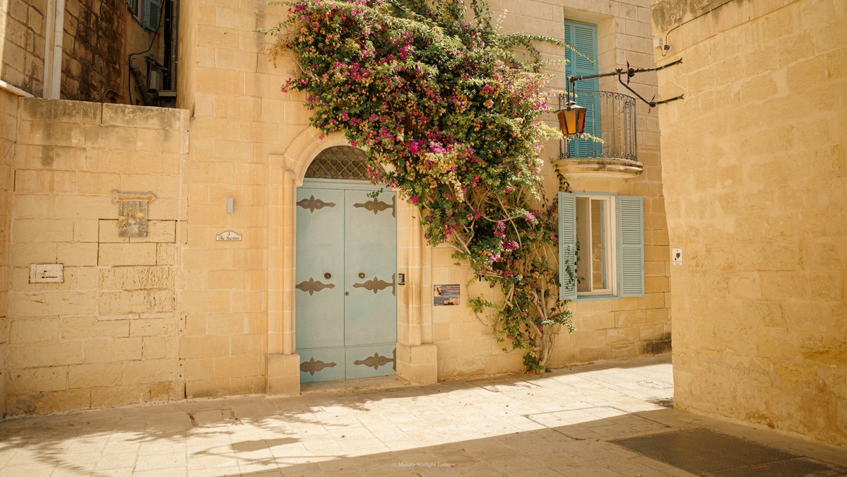 Masa8a's tweet image. 
