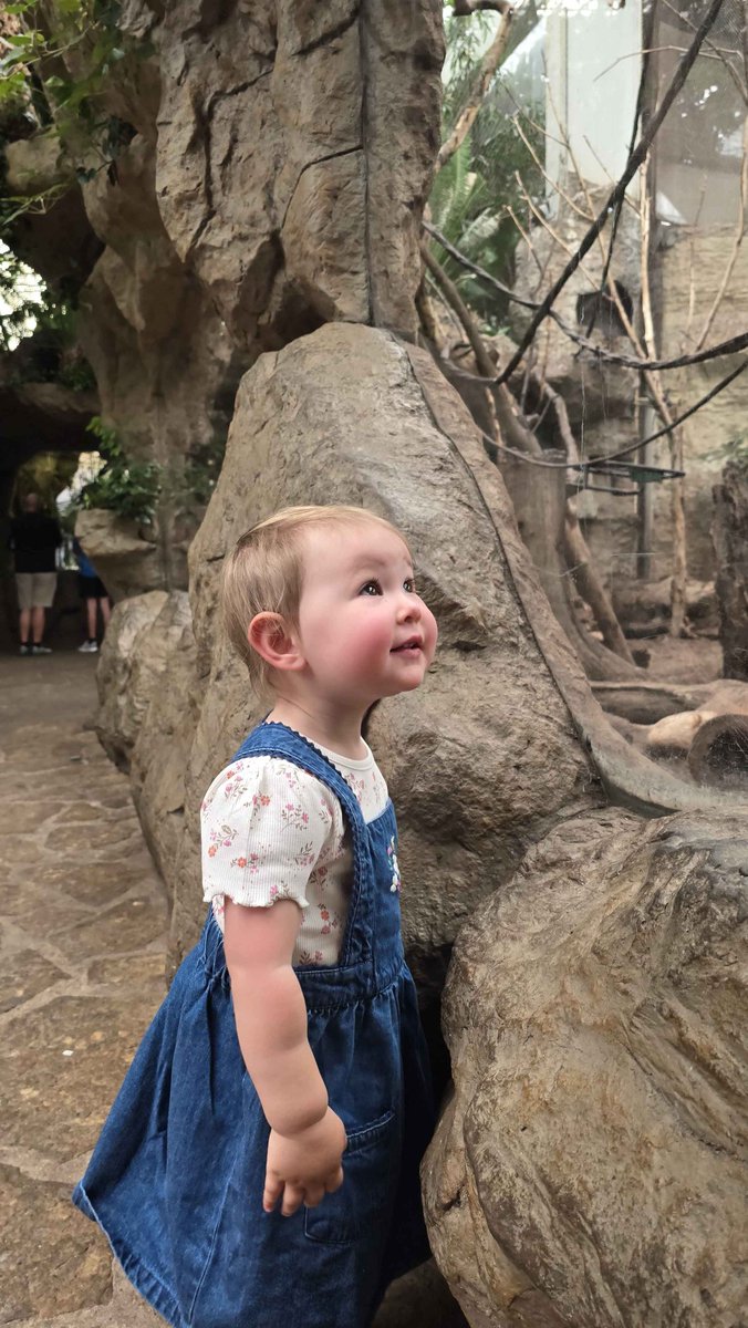 AussieAntics's tweet image. No stream today.
Haven't had any time with the family since we arrived so taking Charlie to the zoo.
Back tomorrow with big vibes ❤️