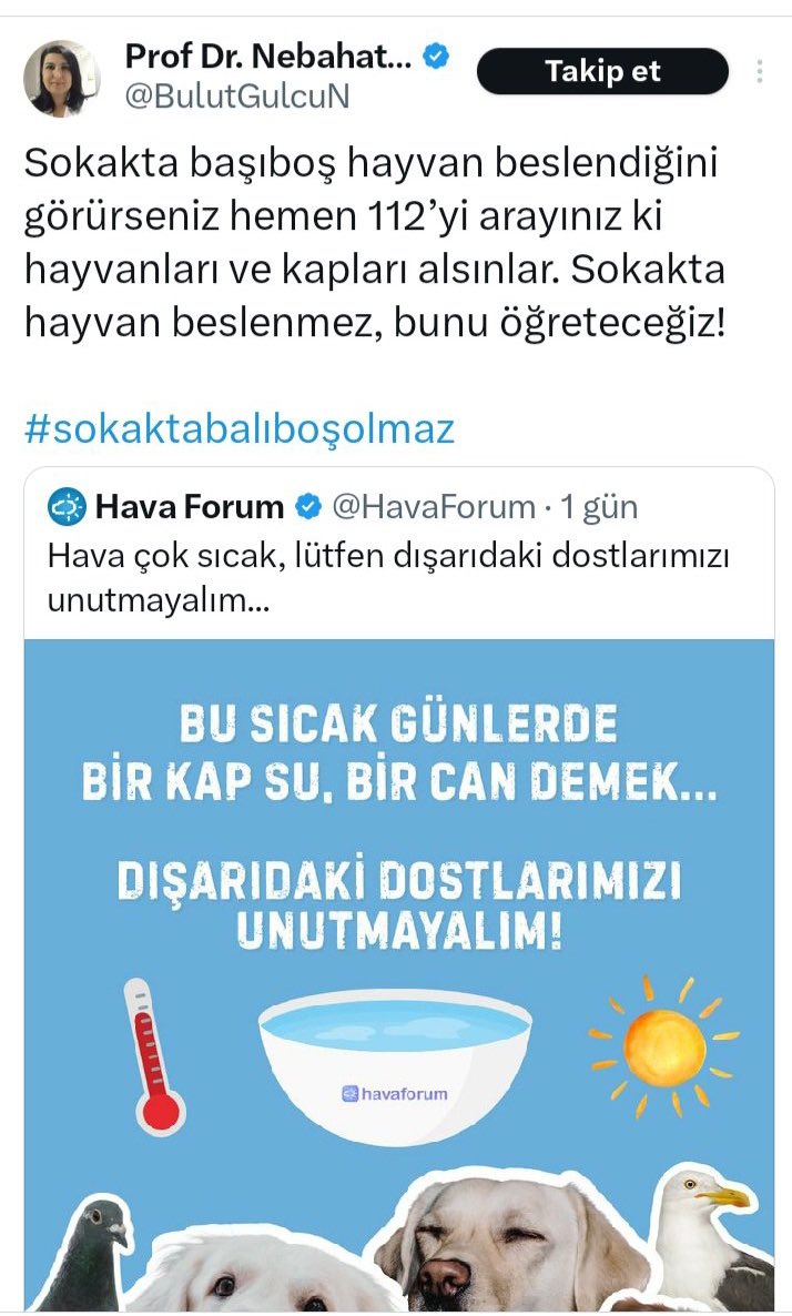 🔴 AKIM BAŞLIYOR 🔴
Sokakta hayvan besleyenleri hedef gösteren, GÜSODER çizgisinden beslenen Prof. Dr. Nebahat Bulut’u hâlâ takip eden hekimleri ifşa ediyoruz!
Bu kadını takip edenin ne hekimliğine ne vicdanına güvenilir.

Yorumlara etiketleyin!
#güsoderkapatılsın #katliamyasası