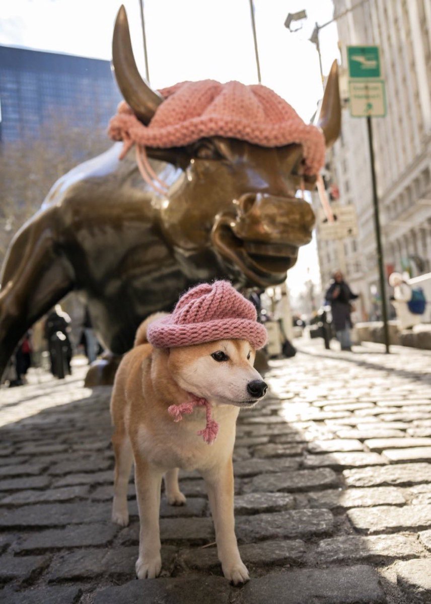 FrenOfYoda's tweet image. $WIF doesn't need a cabal or a main character to grab attention and win. It's the only dog wif a hat listed on all exchanges, the only dog that has been at the @NYSE and been covered by so many publications including @Bloomberg
Last cycle we had DOGE vs SHIB, this cycle we have…