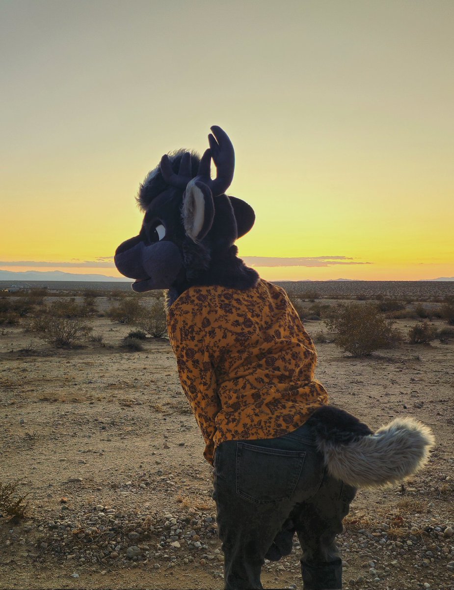 Farts cutely
📸:<a href="/Blazionite/">Blazi Wolf 🔜 MP AFC</a>