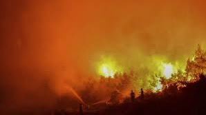 EfthymiopoulosM's tweet image. #CYPRUS on #Fire
We pray for the lost souls and those that lost their housing and those in need
May the Lord bless us all and help us return the national habitat back.
We cannot afford losing any forest
We need to protect the environment
May the firefighters and volunteers…
