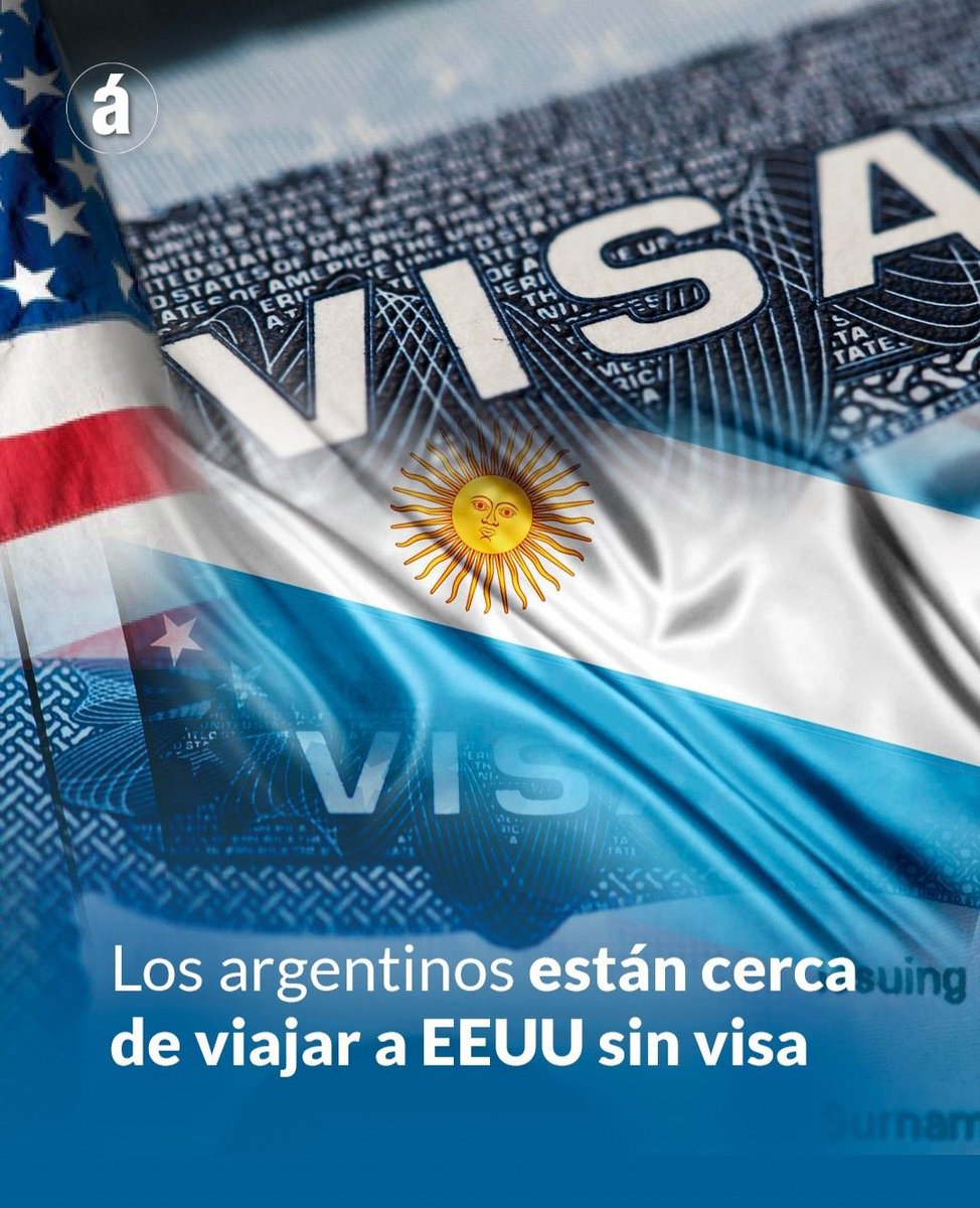 El Trumpista tweet media