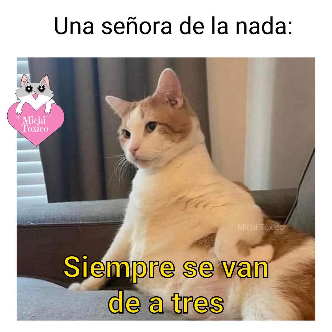 MarcoMenesess's tweet image. Primero Ozzy luego Hulk Hogan .. .. espero que el tercero sea el presidente del gavash ! #poderosodiscoclub6