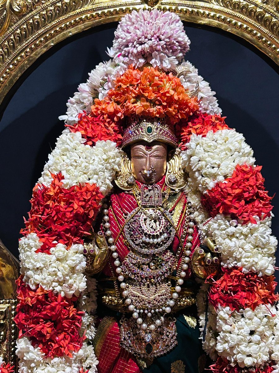 KanchiMatham's tweet image. Amavasya- Swarna Rathotsavam performed to Shri Kanchi Kamakshi Ambal this evening (24 Jul. 2025) #kamakoti