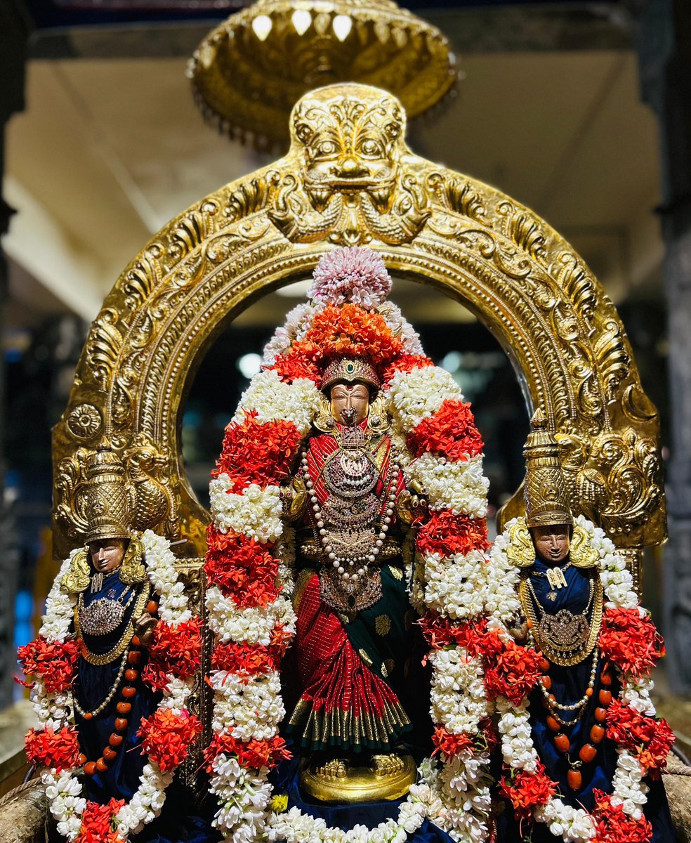 KanchiMatham's tweet image. Amavasya- Swarna Rathotsavam performed to Shri Kanchi Kamakshi Ambal this evening (24 Jul. 2025) #kamakoti