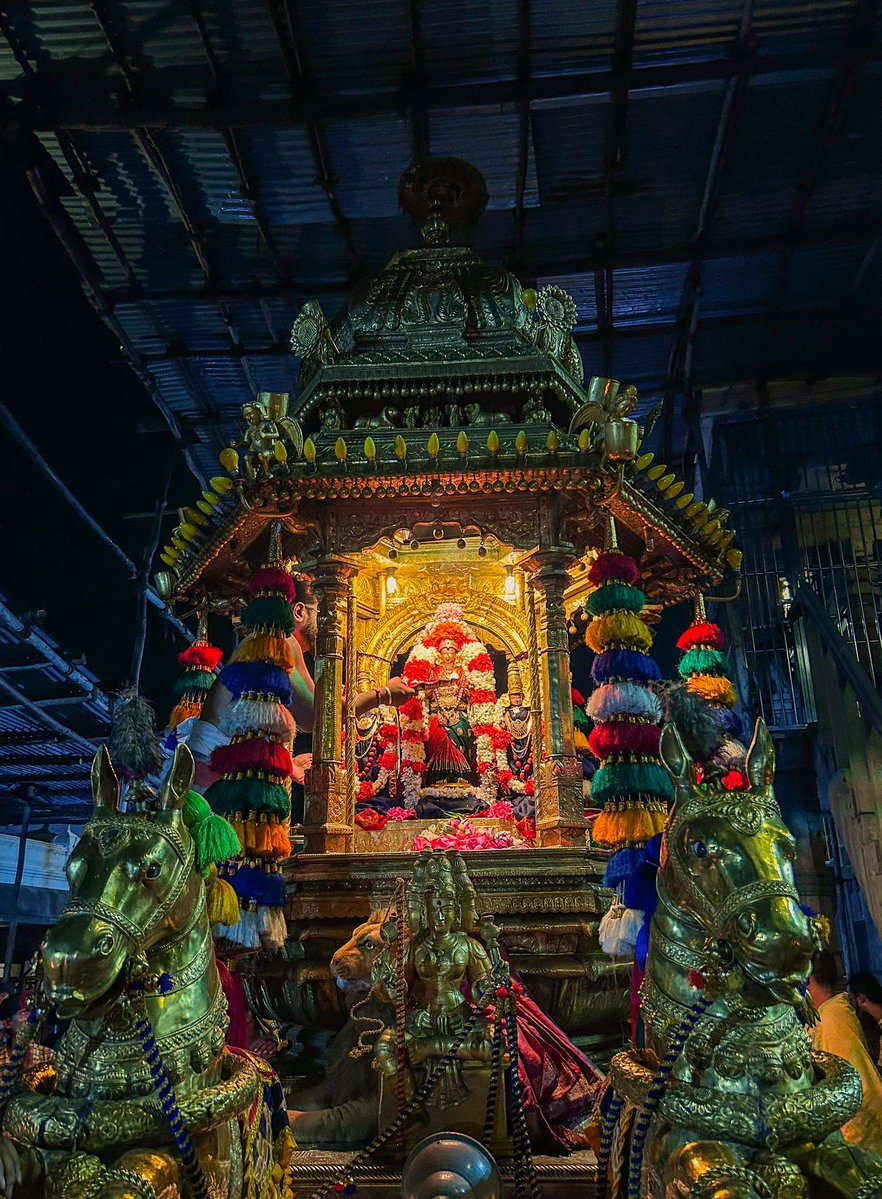 KanchiMatham's tweet image. Amavasya- Swarna Rathotsavam performed to Shri Kanchi Kamakshi Ambal this evening (24 Jul. 2025) #kamakoti