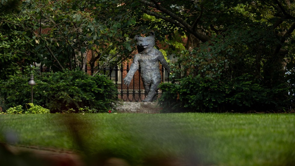 brown_alumni's tweet image. #SceneAtBrown — The “Swearer Bear” statue has a secret only a scrupulous passerby will spot: When one peers into its mouth, they are met with the eyes of a person inside as if someone is wearing the University mascot costume. 👀
Photos by Nick Dentamaro