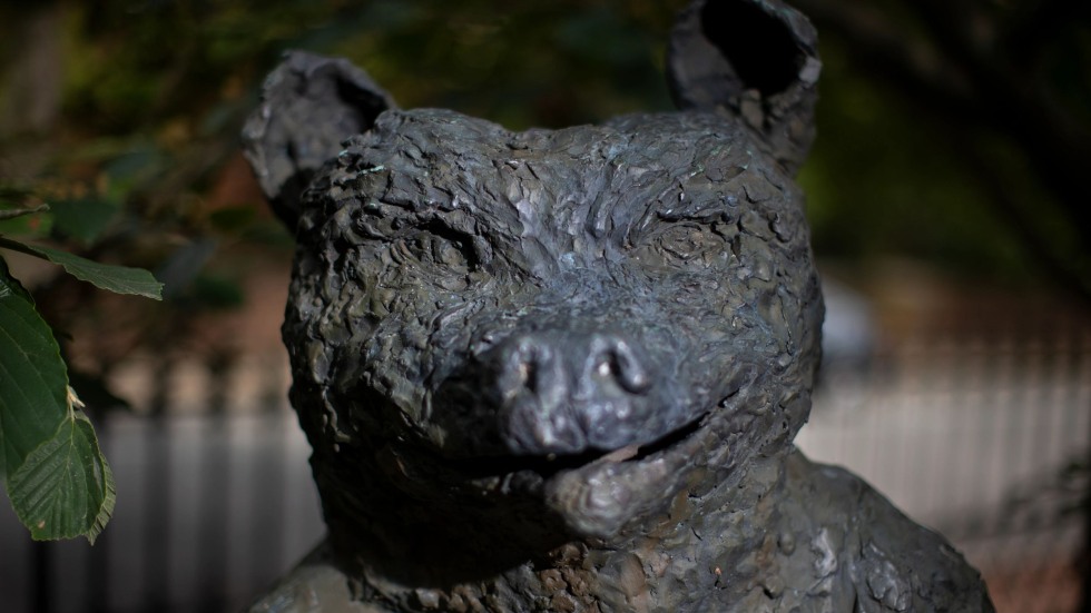 brown_alumni's tweet image. #SceneAtBrown — The “Swearer Bear” statue has a secret only a scrupulous passerby will spot: When one peers into its mouth, they are met with the eyes of a person inside as if someone is wearing the University mascot costume. 👀
Photos by Nick Dentamaro