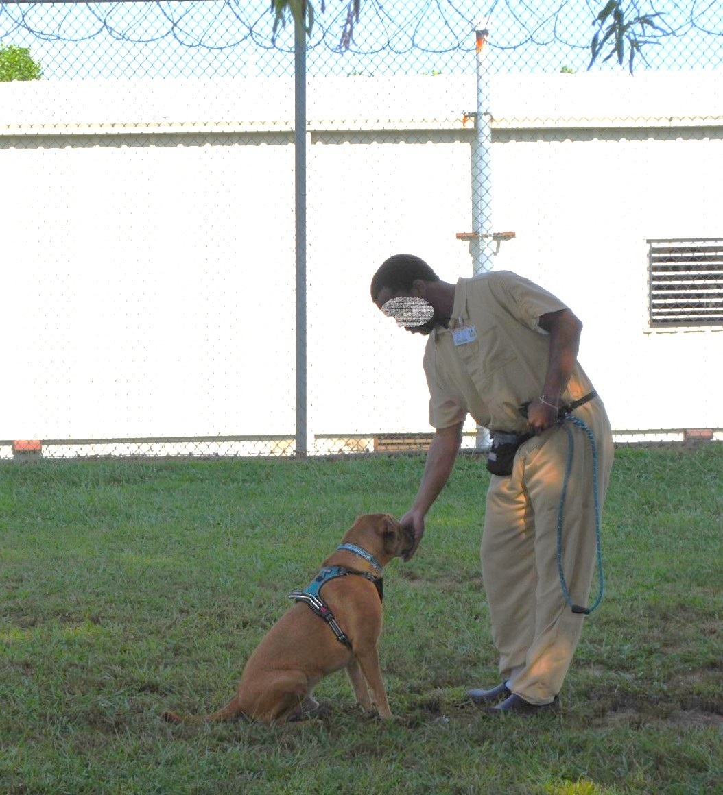 distevhass31's tweet image. Group 46 - Positive Reinforcement Training with K9wise @GA_Corrections @GAFirstLady @CLALeadership @jeffbreedlove1 @endthewhisper @Recovery_GC4R @JellyRoll615