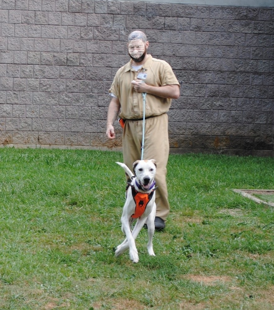 distevhass31's tweet image. Group 46 - Positive Reinforcement Training with K9wise @GA_Corrections @GAFirstLady @CLALeadership @jeffbreedlove1 @endthewhisper @Recovery_GC4R @JellyRoll615