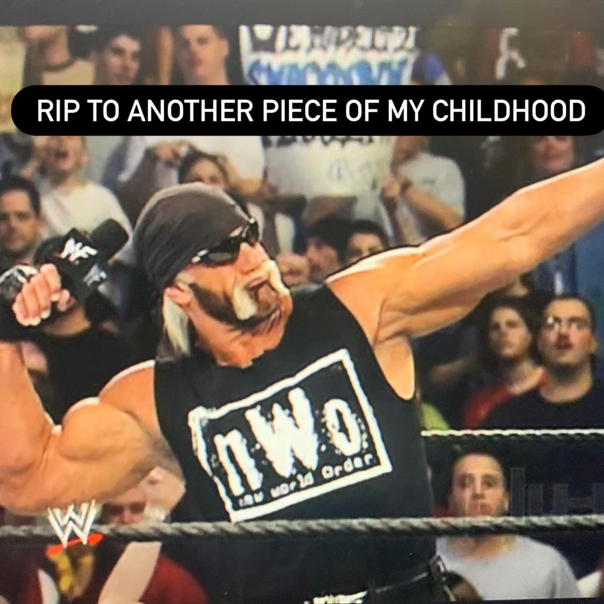 As an 80s baby….This one is hitting me different. 

RIP #HulkHogan