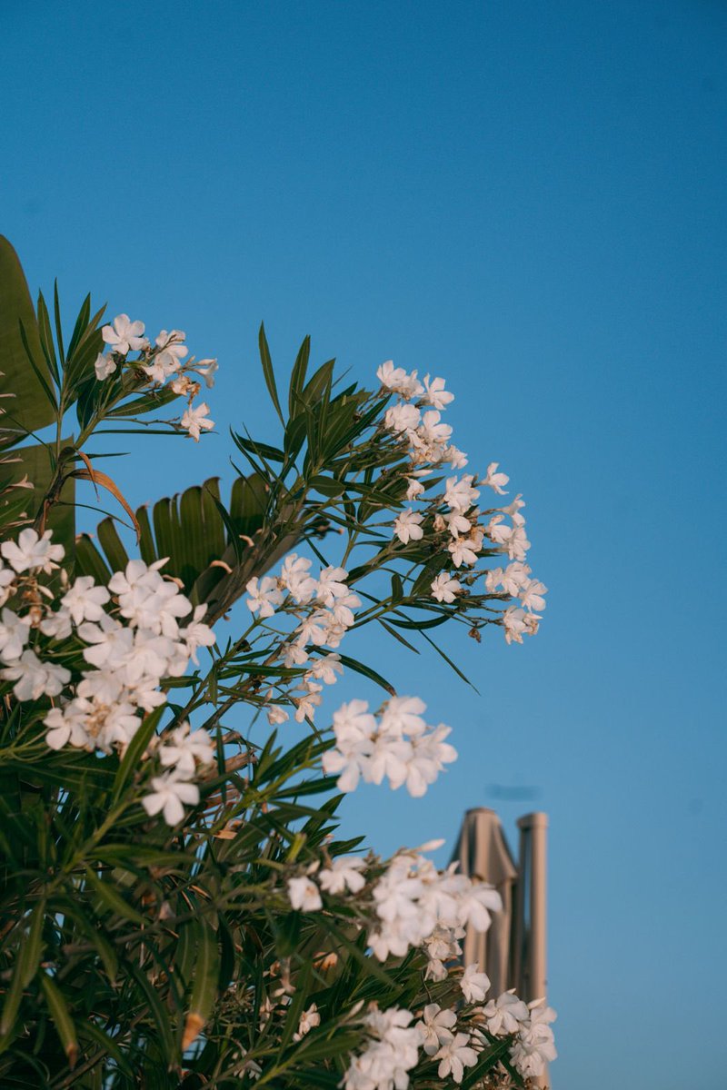 Cheers to the weekend (and to good sunset lighting ☀️😉😉)✨✨❤️❤️👯‍♀️😗 #goldenhour #twinning #sunset #ibiza #summer #cheers #sisters