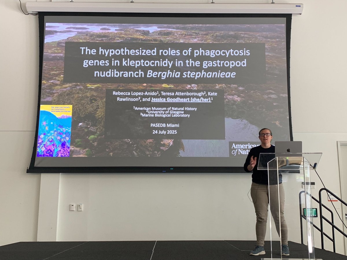 EvoDevoPanAm's tweet photo. Phagocytosis could be co-opted for nematocyst in marine gastropods.... Nature never stops entertaining us....
@sluglife28 from @AMNH 

#PASEDB2025 #seaslug #cooption https://t.co/KUkmGWOvIP