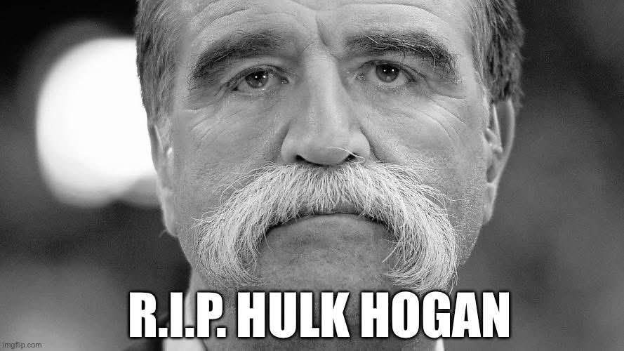 stfngly's tweet photo. #hulkhogan https://t.co/rPlSbF2w7R