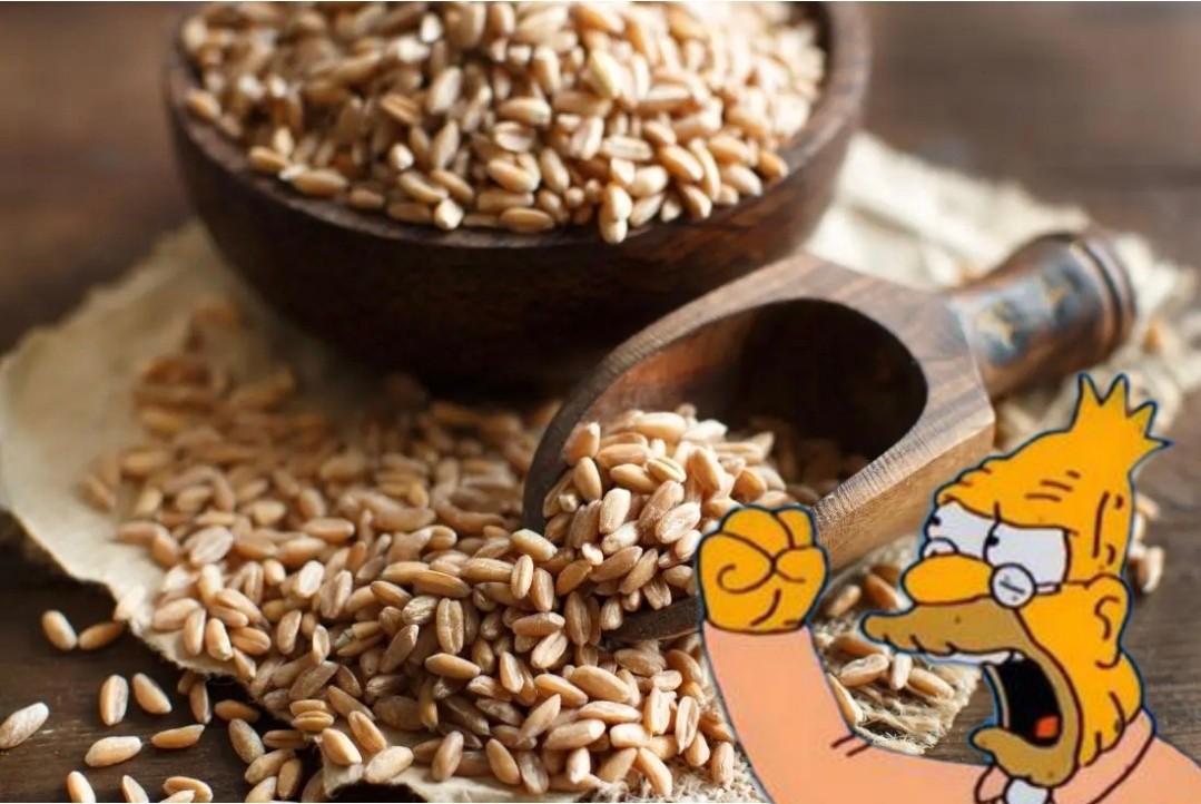 Yeah! Stupid spelt! Get hybridized like a proper wheat ya ancient bum!