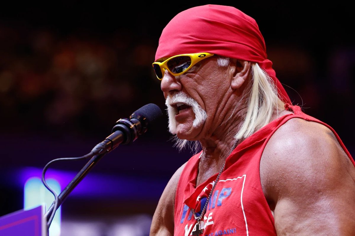 psybrCO's tweet image. RIP Hulk Hogan.