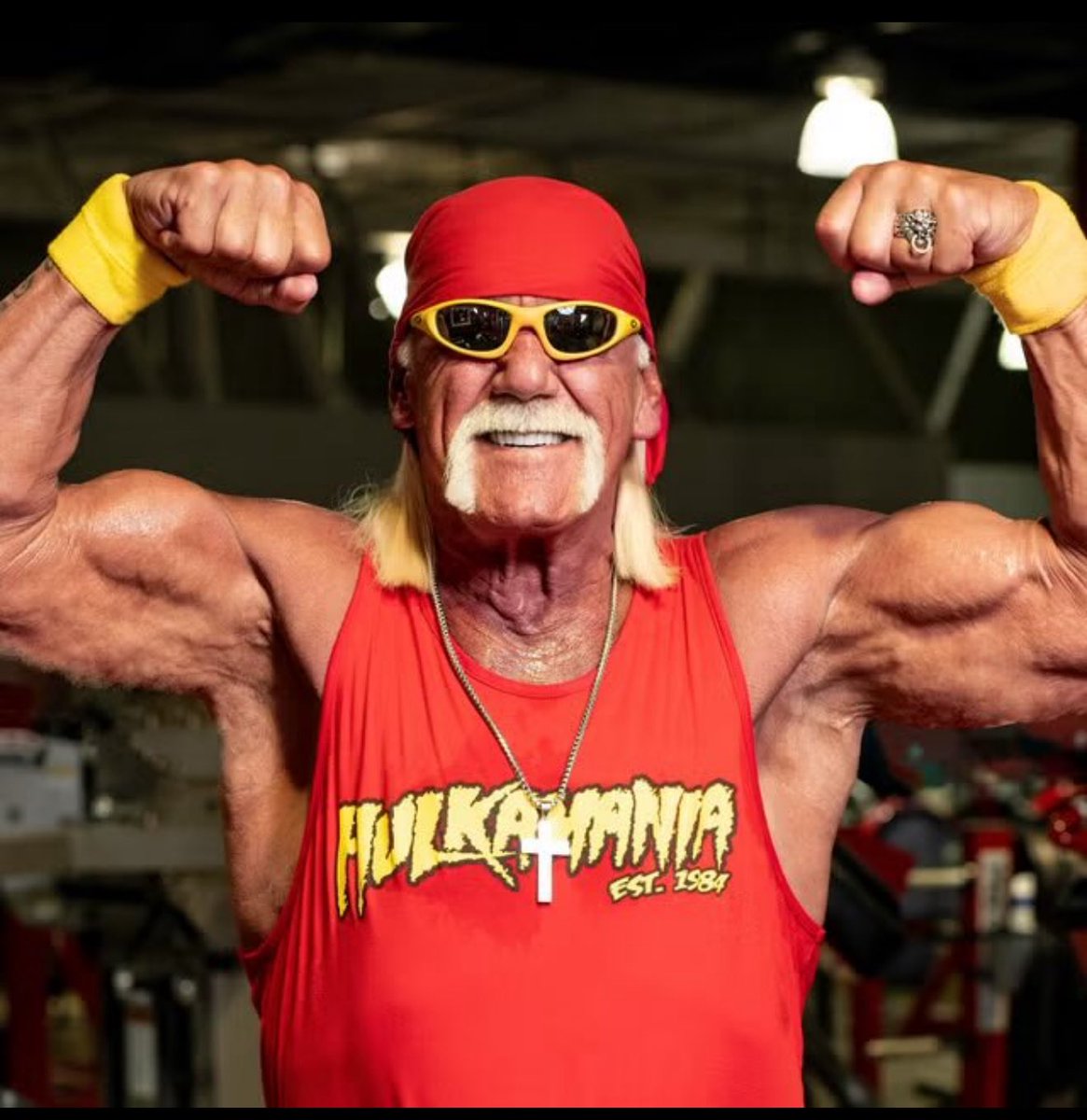 DerWulf's tweet image. Hulk Hogan, my brother, I wonβt forget you. RIP. We all will fall someday.