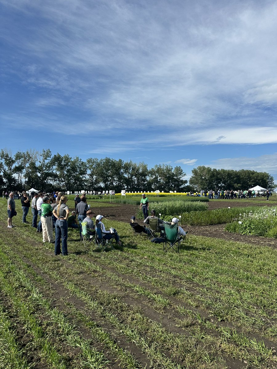 Sean Walisser (@swalisser) on Twitter photo Annual R&D site tour in Neapolis, AB for <a href="/NutrienAgCda/">Nutrien Ag Solutions Canada</a>. We have our Northern and Southern Ab divisions out. A lot of bright minds in one place. Everything from forages, cereals, and Canola, to herbicide resistance and modes of action. No better experience than the hands on kind. Annual R&D site tour in Neapolis, AB for <a href="/NutrienAgCda/">Nutrien Ag Solutions Canada</a>. We have our Northern and Southern Ab divisions out. A lot of bright minds in one place. Everything from forages, cereals, and Canola, to herbicide resistance and modes of action. No better experience than the hands on kind.