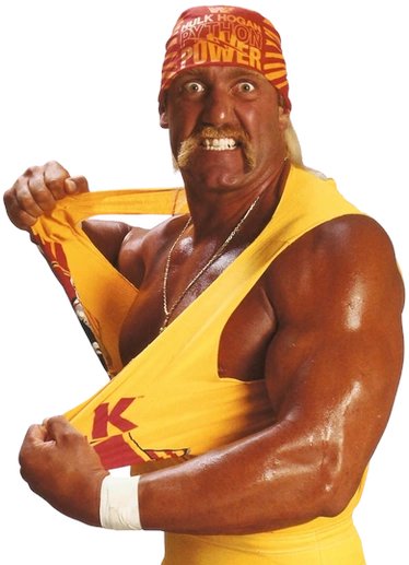The Legend

The Man

The Hero

R.I.P. <a href="/HulkHogan/">Hulk Hogan</a> 

We will miss you, brother!