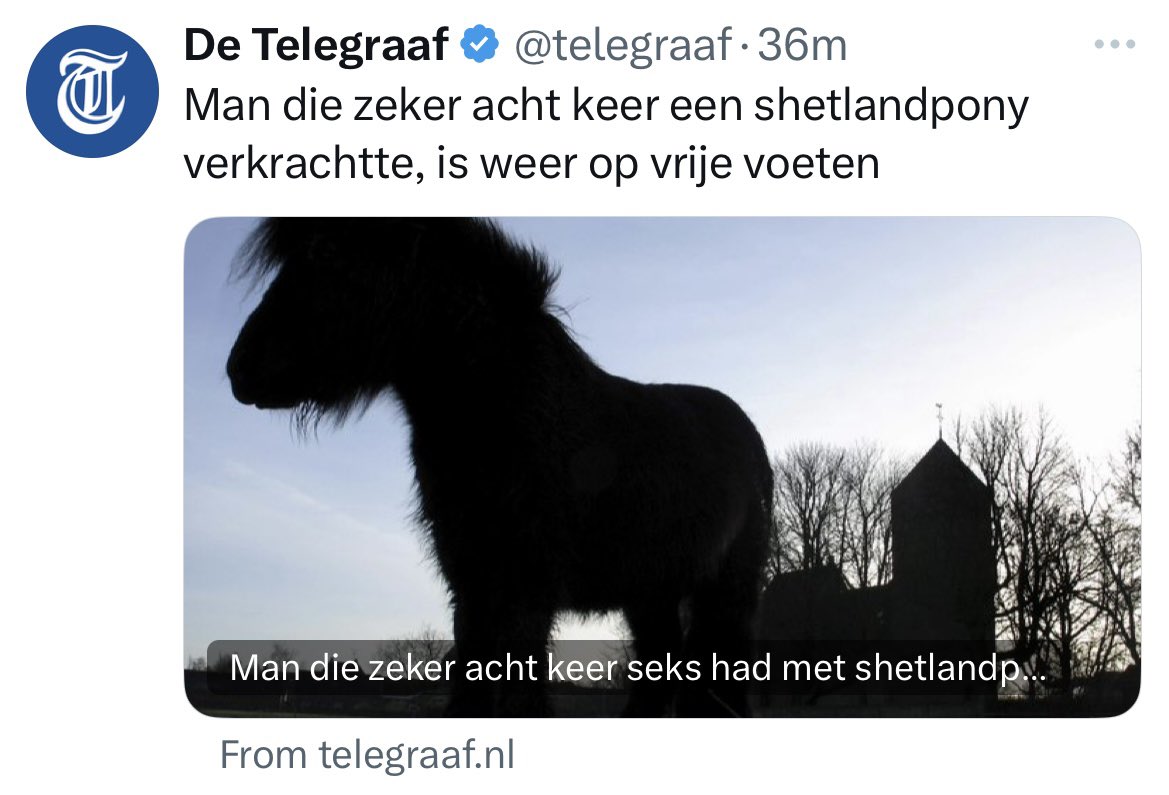LovedTooEasily's tweet image. Hij zegt ook ‘per ongeluk’ kinderporno te hebben gedownload, staat in het artikel.
Zo’n zieke geest mag op z’n gemak vrij rondlopen tot er een uitspraak is. Wat een land. 😵💫
Link naar het hele artikel: archive.ph/swWGv