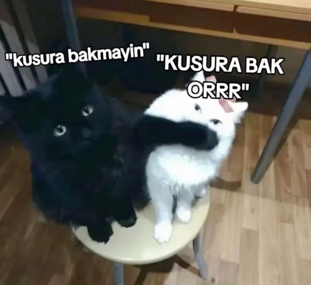 violetonnes's tweet image. Ben ve en yakın arkadaşım @elanurglr10