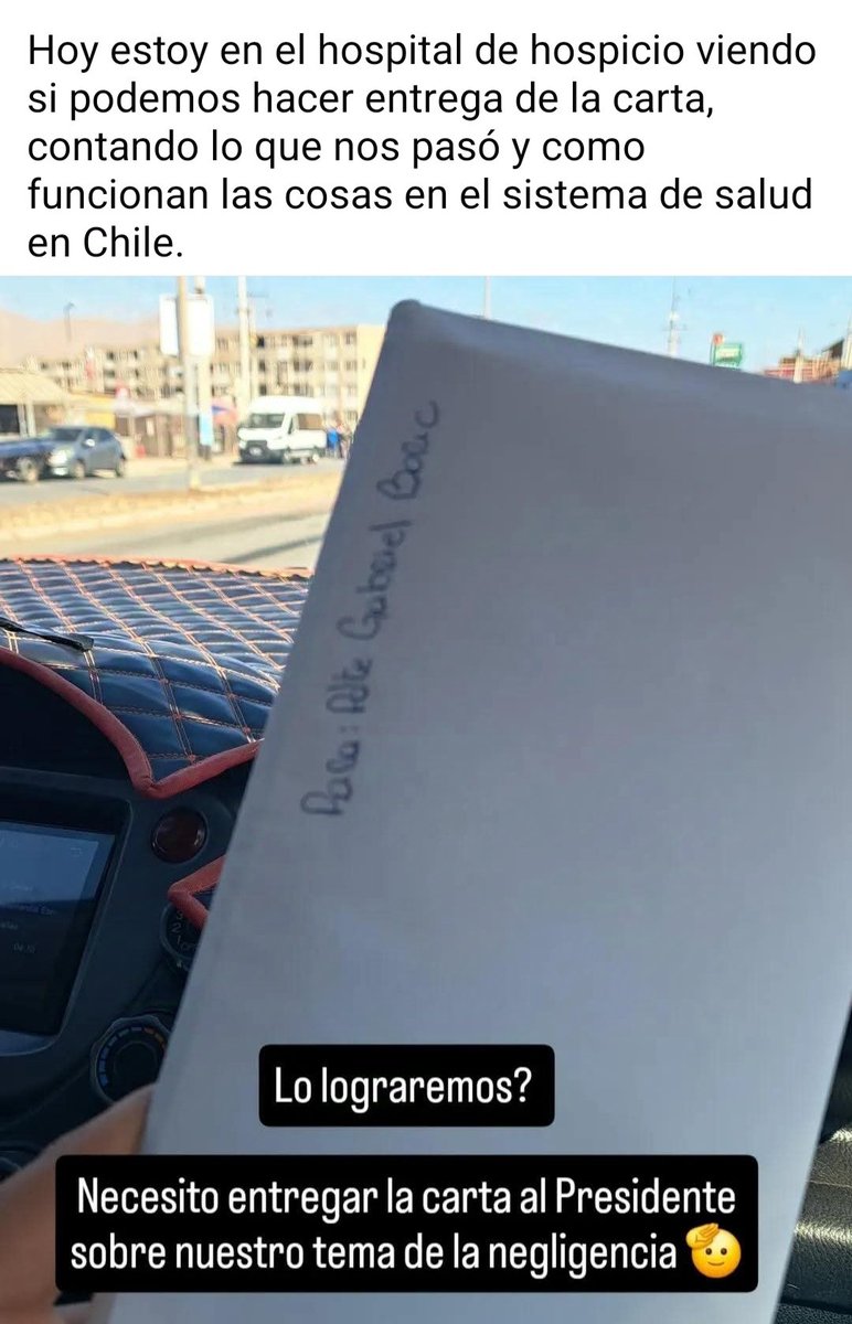 María José tweet media
