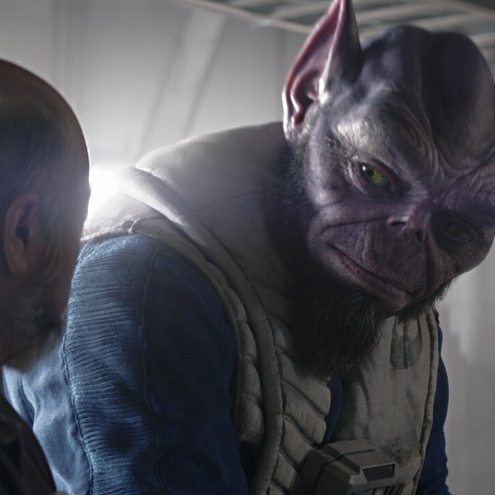 SW_Rebels_Dad's tweet image. Twinsies
